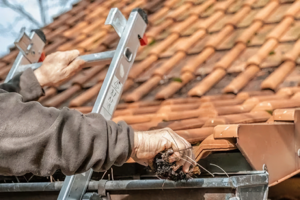 the role of rain gutters is to collect and channel water properly